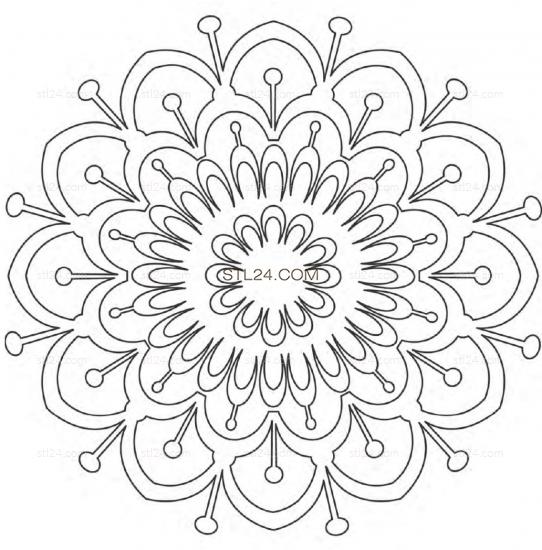 ROSETTE_0264